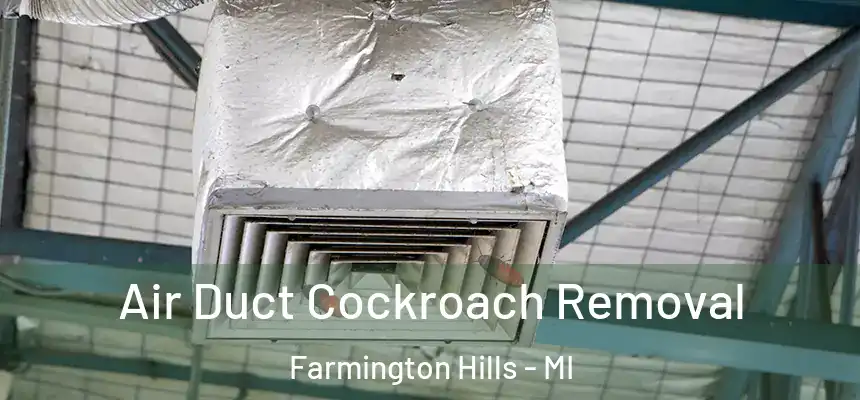  Air Duct Cockroach Removal Farmington Hills - MI