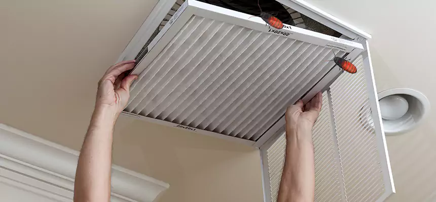 Preventive Cockroach-Proofing for Ducts in Farmington Hills
