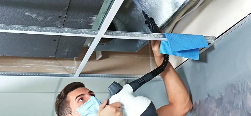 Our Air Duct Rodent Removal Services in Farmington Hills, MI
