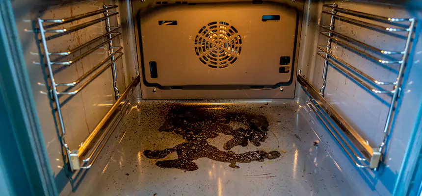 Our Dryer Vent Mold Cleaning Services in Farmington Hills, MI