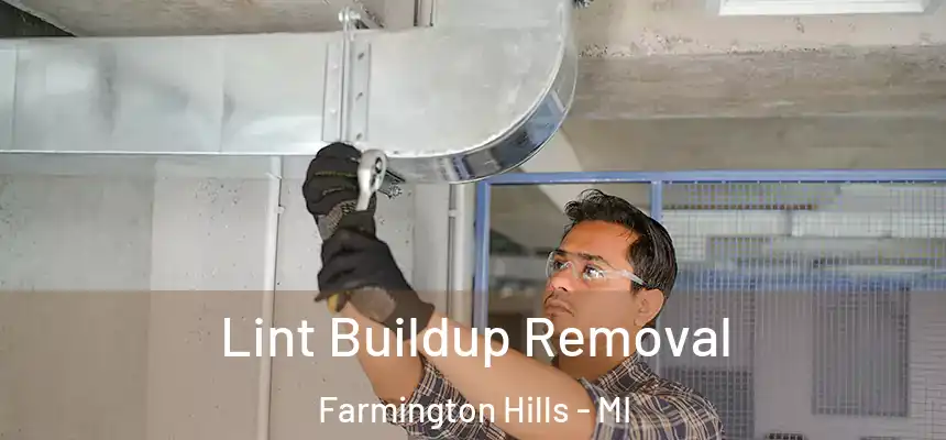  Lint Buildup Removal Farmington Hills - MI