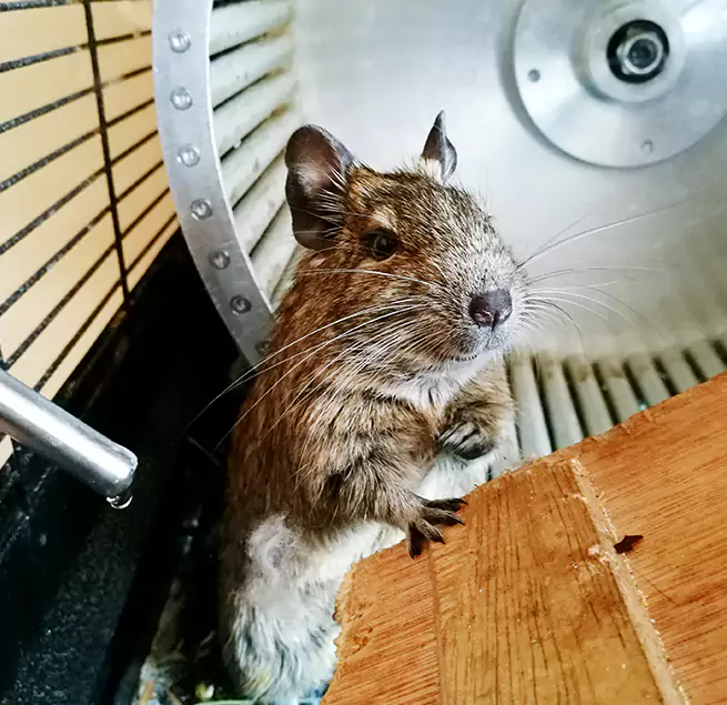 Why Homeowners & Businesses Trust Us Farmington Hills, MI?